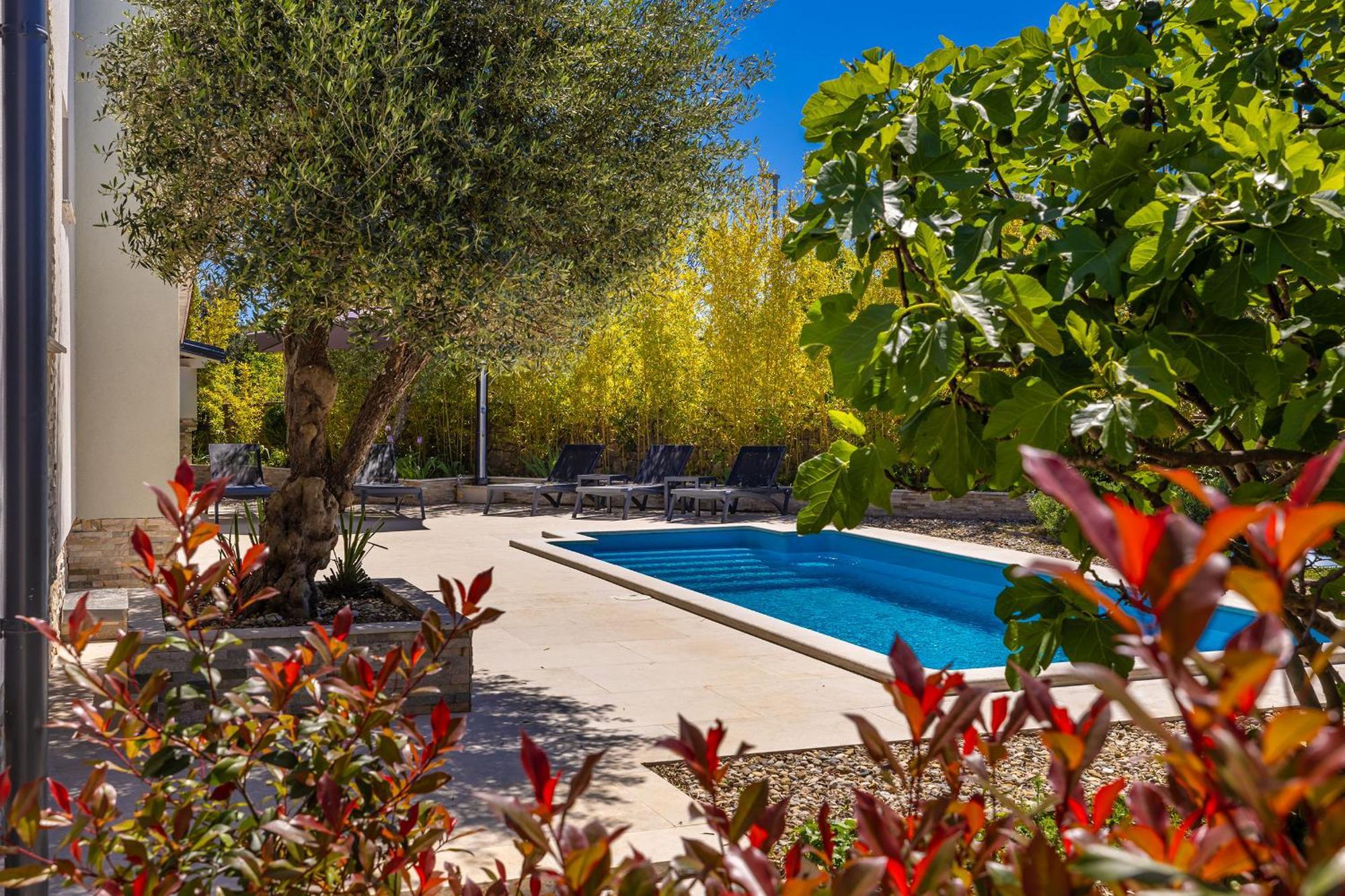 Holiday House Kai With Private Pool Pinezići Extérieur photo